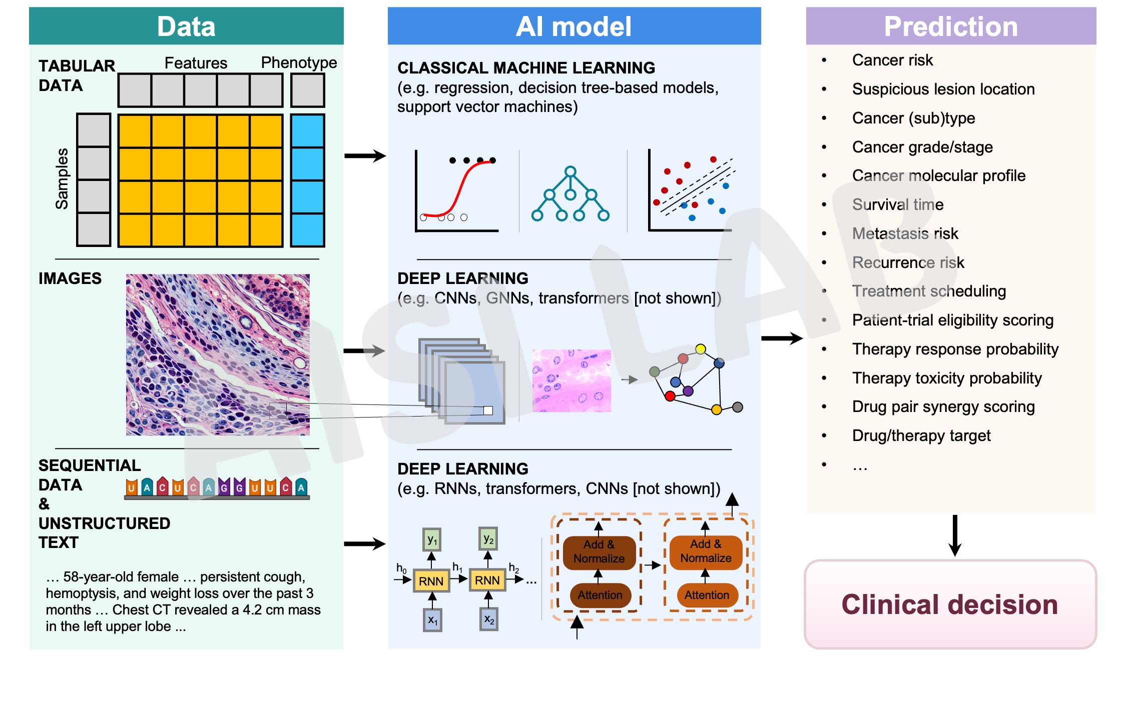 Predictive AI for immunotherapy — model diagram