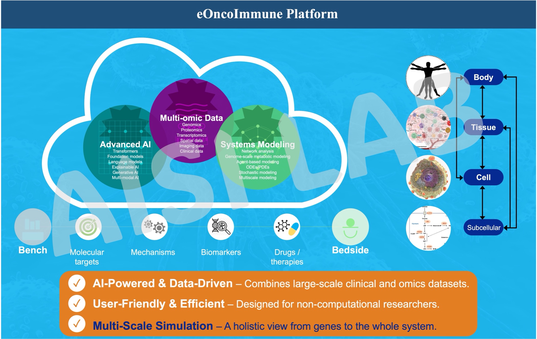 Digital twin platform for immunotherapy design